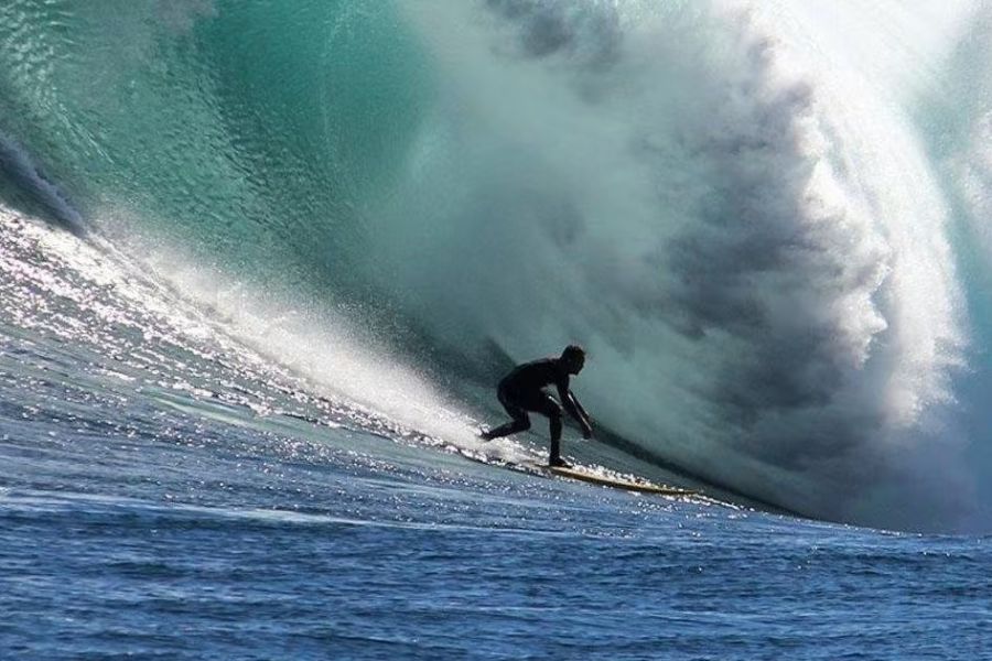 frank solomon surf documentary