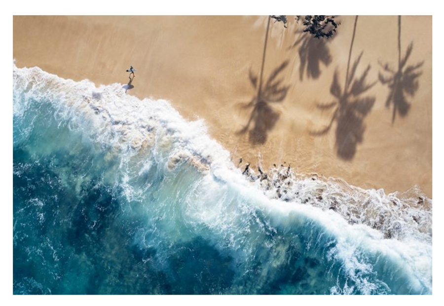 Surf photography print of a surfer walking on beach with surfboard