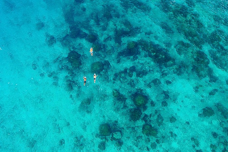 surfing Indonesia